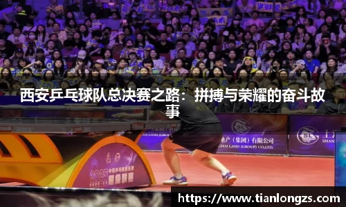 西安乒乓球队总决赛之路：拼搏与荣耀的奋斗故事